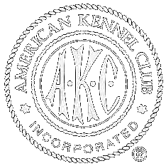 AKC Doberman Standard
