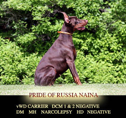 Pride Of Russia Naina