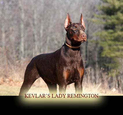 Kevlar's Lady Remington