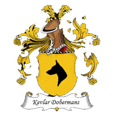 Kevlar Dobermans
