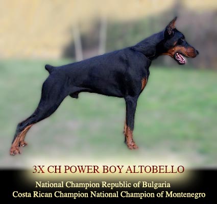 Power Boy Altobello
